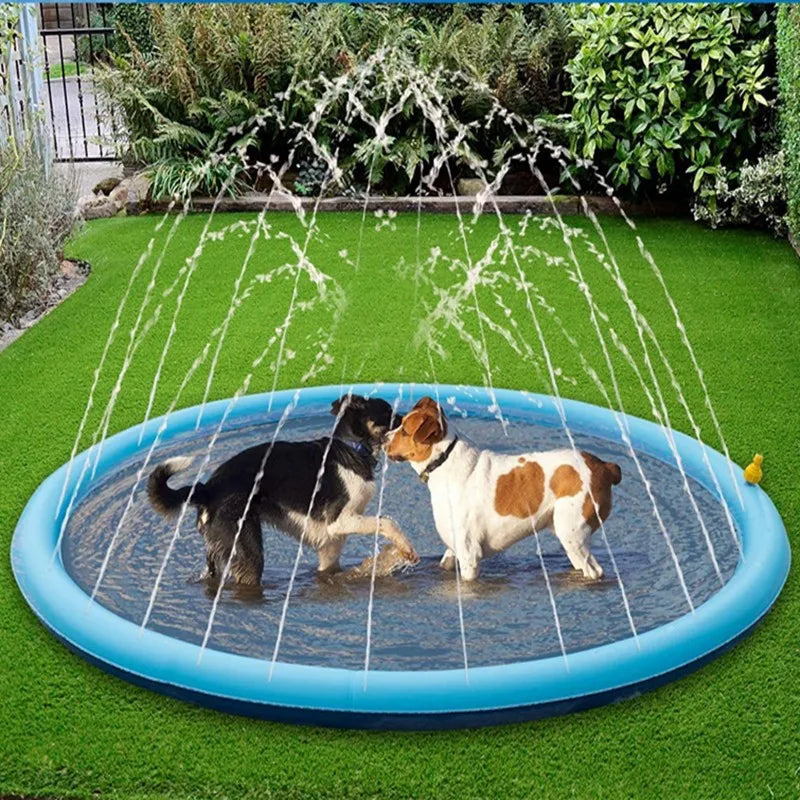 Dog Splash Pad